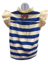 Load image into Gallery viewer, LCCS Blue Stripe Sparkle V-Neck Blouse
