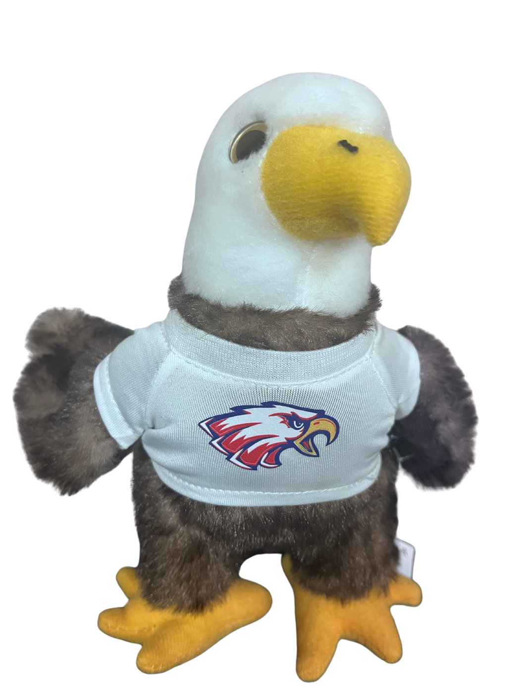 LCCS Eagle Friend