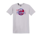 Load image into Gallery viewer, Volleyball Fan T-Shirt
